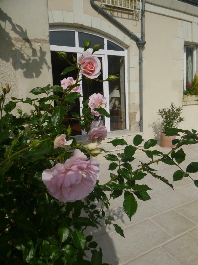 Villa Rosa Saint-Georges-sur-Cher Extérieur photo