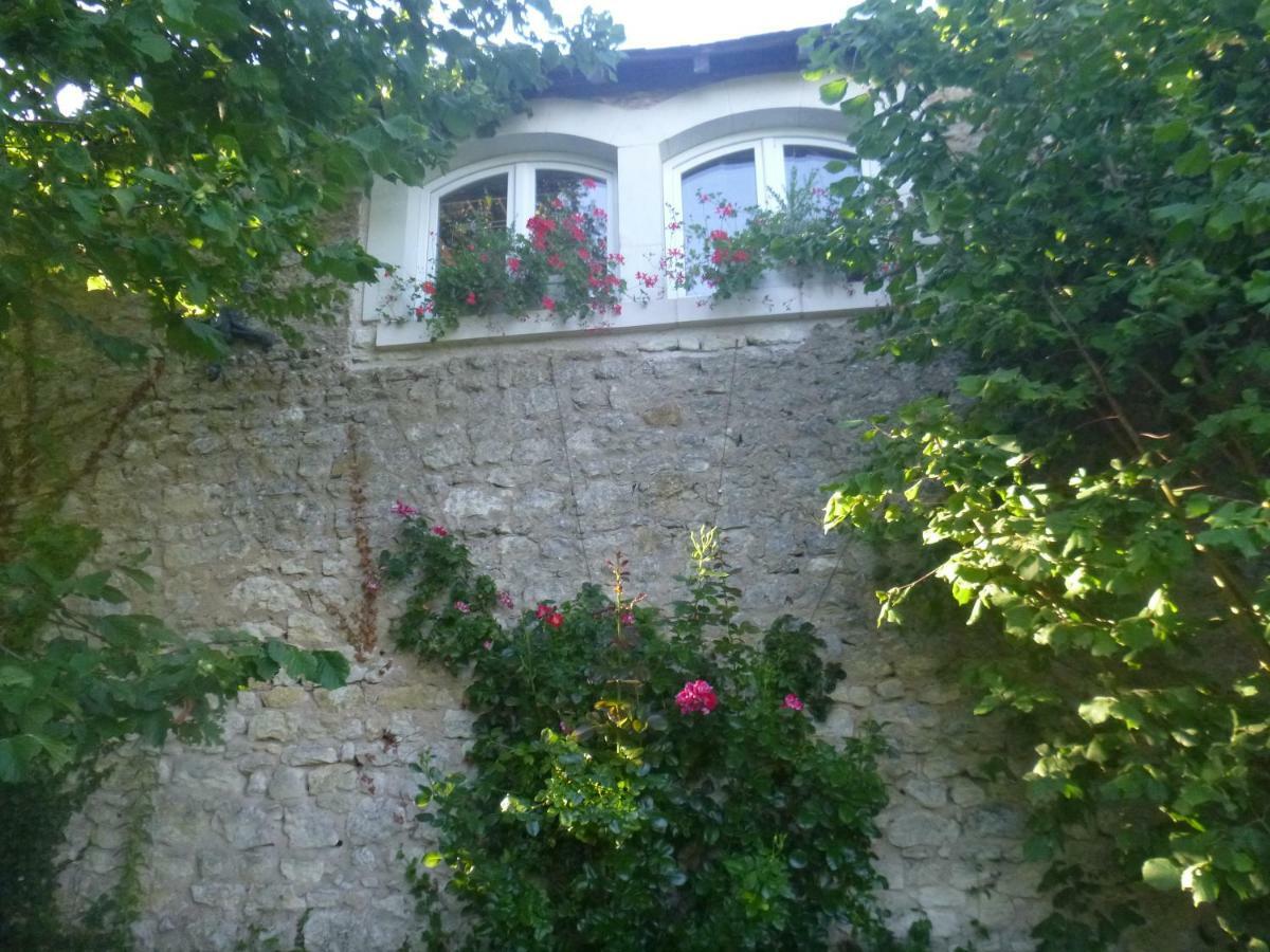 Villa Rosa Saint-Georges-sur-Cher Extérieur photo